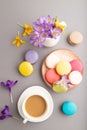 Multicolored macaroons with spring snowdrop crocus flowers and cup of coffee on gray pastel background. top view, close up Royalty Free Stock Photo