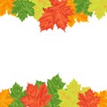 Autumn Leaves on a white background. Isolated. Vector illustration. Eps 10. Royalty Free Stock Photo