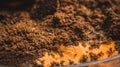 Multicolored mold on a food surface. Close-up of colorful growth mustiness mushrooms on a food. Green mold Penicillium expansum.