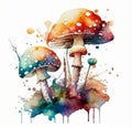 Multicolored mushrooms. Watercolor drawing
