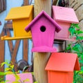 Multicolored nesting boxes closeup outdoor background