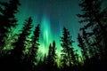 Multicolored northern lights at night in the forest. Diverse nature