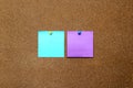 Multicolored notes for messages and reminders on cork board