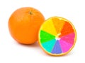 Multicolored orange fruits
