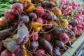 Multicolored organic radishand beets sold on farmers market