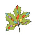 Multicolored ornamental leaf