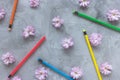 Multicolored pencils and spring or summer flowers Royalty Free Stock Photo