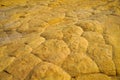 Multicolored photogenic pattern and textures of the Yellow Rock in Utah USA