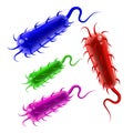 Multicolored plastic rod-shaped bacillus bacteria with fimbriae and flagellums toys. Glossy and vibrant vector illustration