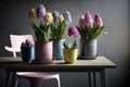 multicolored pots with a variety of flowering hyacinths