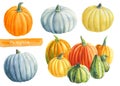 Multicolored pumpkins on isolated white background, watercolor illustration, clipart