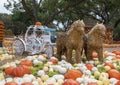 Multicolored pumpkins and two straw horses pulling a white carriage at the Dallas Arboretum in Texas. Royalty Free Stock Photo