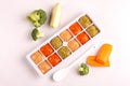 Multicolored pureed baby food in ice cube trays