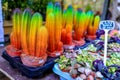 Multicolored rainbow cactus stall on a flower market Bloemenmarkt
