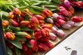 Multicolored, red, yellow, white, lilac tulips on display for sale Royalty Free Stock Photo