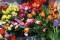 Multicolored, red, yellow, white, lilac tulips on display for sale Royalty Free Stock Photo