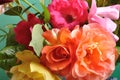 Multicolored roses flowers studio shot