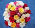 Multicolored roses bouquet of flowers isolated on blue backgroun