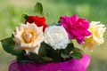 Multicolored roses in a bouquet. Royalty Free Stock Photo