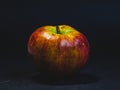 Multicolored rotten spoiled ripened apples on white background