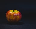 Multicolored rotten spoiled ripened apples on white background