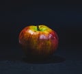 Multicolored rotten spoiled ripened apples on white background