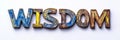 Multicolored Rustic Wooden Block Letters Spell Out the Word Wisdom, Isolated on a White Background