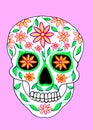 Multicolored scull on a bright pink background.