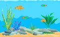 Multicolored Sea Animals, Water Plants and Stones