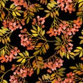 Multicolored seamless rowan berry pattern Botanical watercolor drawing