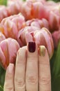 Multicolored short manicure with a brilliant golden, dark burgundy and pastel light nail polish