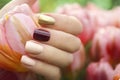 Multicolored short manicure with a brilliant golden, dark burgundy and pastel light nail polish