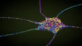 Multicolored single nerve cell or neuron