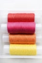 Multicolored skeins of thread in the set. The threads are in a plastic box Royalty Free Stock Photo