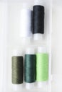 Multicolored skeins of thread in the set. The threads are in a plastic box Royalty Free Stock Photo