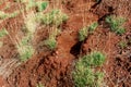 Multicolored soil of mercury occurrence in Altai steppe Royalty Free Stock Photo