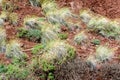 Multicolored soil of mercury occurrence in Altai steppe Royalty Free Stock Photo