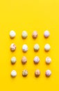 Multicolored speckled chocolate eggs arranged in graphic knolling pattern on bright yellow background. Easter card Royalty Free Stock Photo