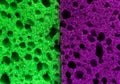 Multicolored sponge texture background close-up surface photo