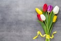 Multicolored spring flowers, tulip on a gray background.