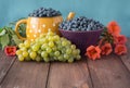 Multicolored still life with blueberries, grapes and flowers