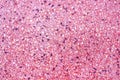 Multicolored terrazzo seamless texture background,Natural patterns polished stone floor pink ,black,white ,red Royalty Free Stock Photo