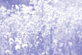 Multicolored textuerd background in color of 2022 year very pery with copy space. Abstract