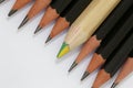 Multicolored pencil in a group of black pencils