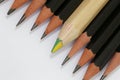 Multicolored pencil  in a group of black pencils Royalty Free Stock Photo