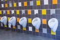 Multicolored Tiled Urinal