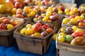 Multicolored tomatoes, pattern of yellow, red and orange cherry tomatoes