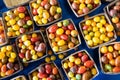 Multicolored tomatoes, pattern of yellow, red and orange cherry tomatoes