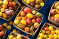 Multicolored tomatoes, pattern of yellow, red and orange cherry tomatoes