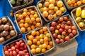 Multicolored tomatoes, pattern of yellow, red and orange cherry tomatoes
